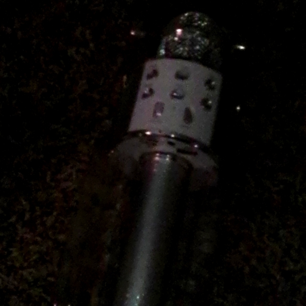 Microphone